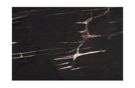 Skeleton