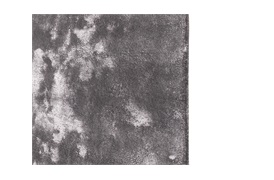 Grafton Rug 200x300cm in Frost Grey