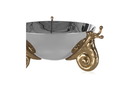 Snail Bowl