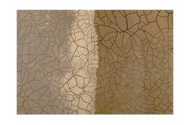 Artem Gold