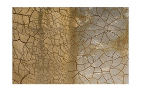 Artem Gold