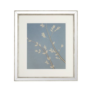 Botanical Fabric