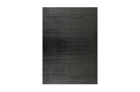 Plush Viscose Rug
