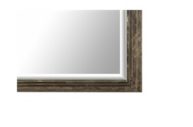 Revolution Mirror