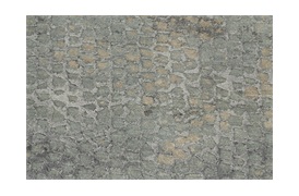 Danio Rug