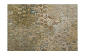 Danio Rug