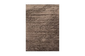Ansa Rug 200x300cm in Brown