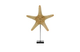 Starfish