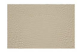 Erasmo Collection
