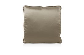 Paenthouse Cushion