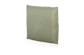 Angel Cushion 