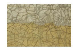 Diptych