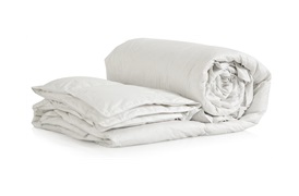 Goose Feather & Down       Pillows & Duvets 
