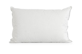 Goose Feather & Down       Pillows & Duvets 