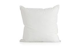 Goose Feather & Down       Pillows & Duvets 