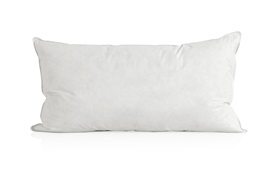 European Duck Down Pillows & Duvets