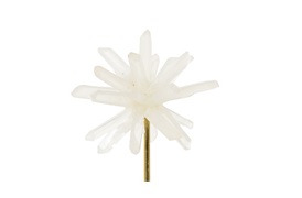 Blossom Accessories