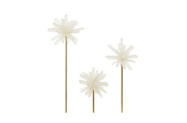 Blossom Accessories