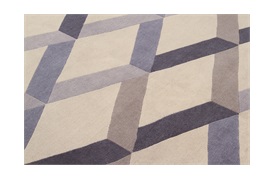 Optical Geometric Rugs