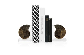 Ammonite Bookends