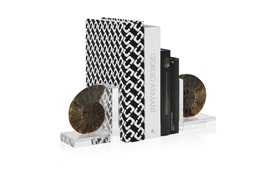 Ammonite Bookends
