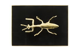 Mantis box