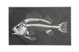 Lisca Di Pesce