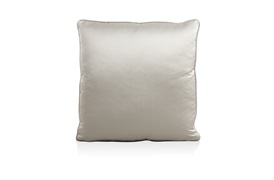 Feather Grey Cushion