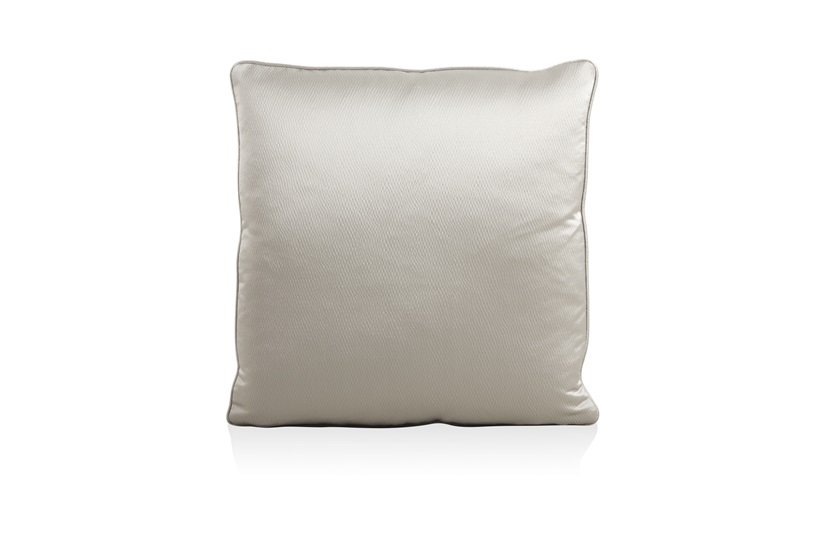 Feather Grey Cushion