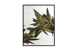 Fawn Zircon
