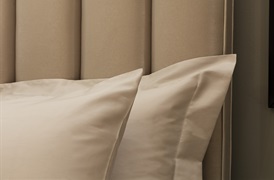 300tc Plain Duvet Set   in Natural