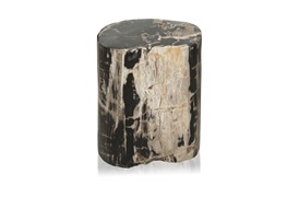 Fossil Table
