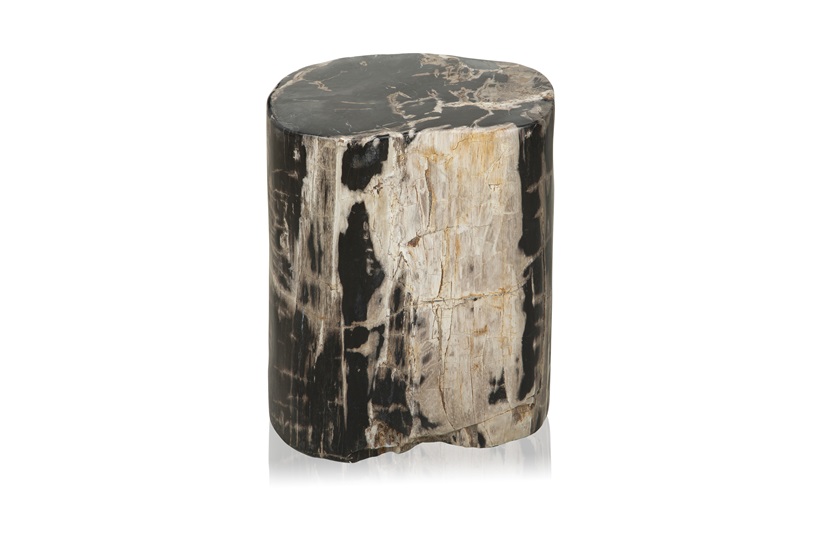Fossil Table
