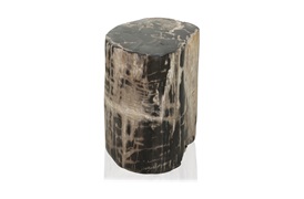 Fossil Table