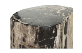 Fossil Table