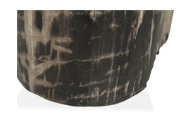 Fossil Table