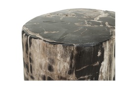 Fossil Table