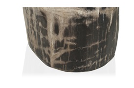 Fossil Table