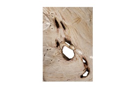 Barrymore Collection