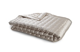 Windsor Silk Bedspread       By Gingerlily