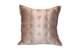 Windsor Silk Cushion By Gingerlily