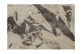 Avium Rug