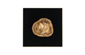 Villiers Collection