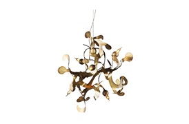 Kelp