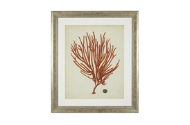 Antique Red Coral Prints             by Eichholtz