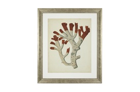 Antique Red Coral Prints             by Eichholtz