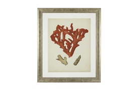 Antique Red Coral Prints             by Eichholtz
