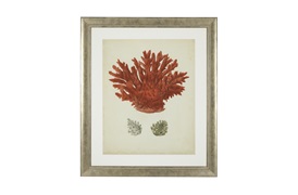 Antique Red Coral Prints             by Eichholtz