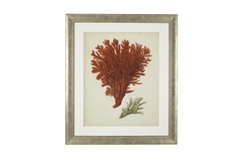 Antique Red Coral Prints             by Eichholtz