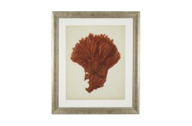 Antique Red Coral Prints             by Eichholtz